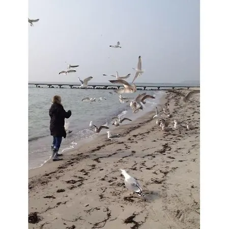 In Oppurg 아파트